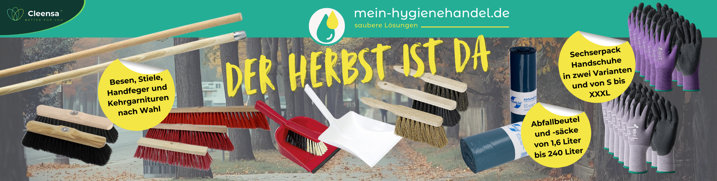 Herbst Reinigung