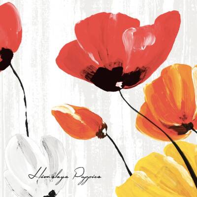 Mank Servietten 40 x 40 cm 1/4-Falz aus Linclass - Ivonne (Himalaya Poppies grau) | 6 x 50 Stk.