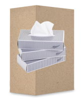 Kosmetiktücher | 2-lagig | 1 Box á 100...
